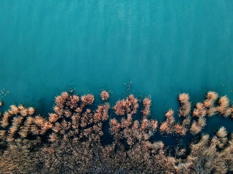 Апартаменты Hello Balaton Альшоэрш Экстерьер фото